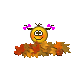 Herbst Herbst